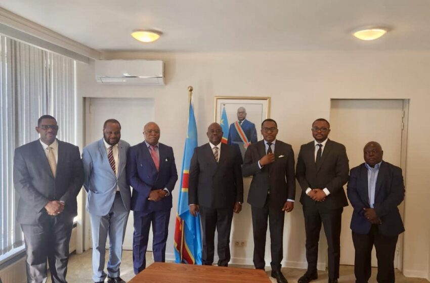 L’Union européenne à l’écoute de la vision de Christophe Bitasimwa Bahii sur le contrôle systémique et digitalisé
